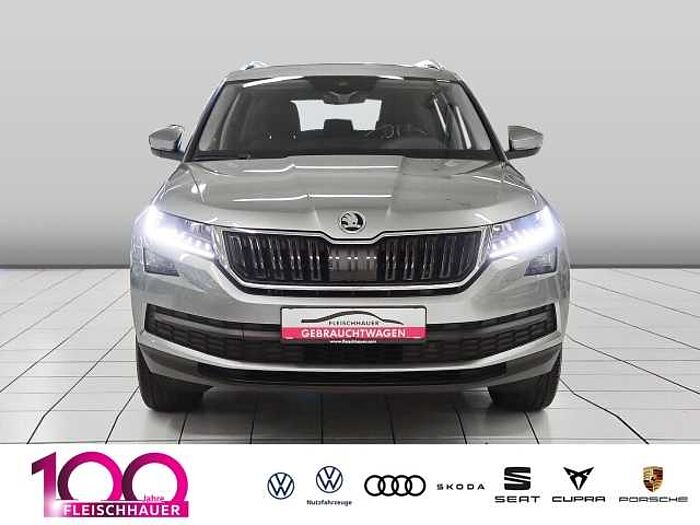 škoda kodiaq - business grau metallic